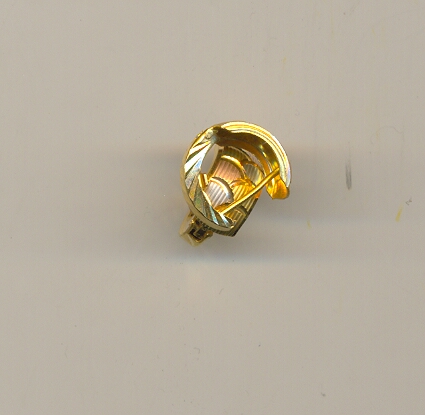 GOLD EARRING