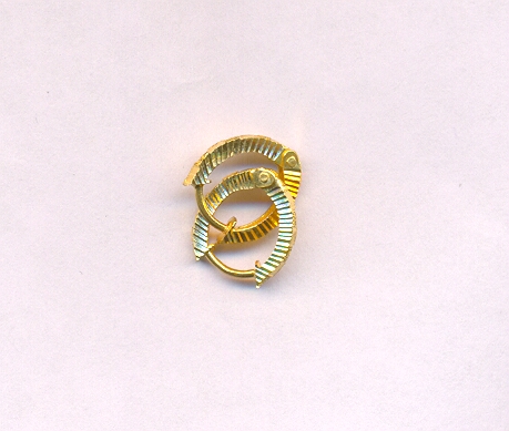 GOLD EARRING