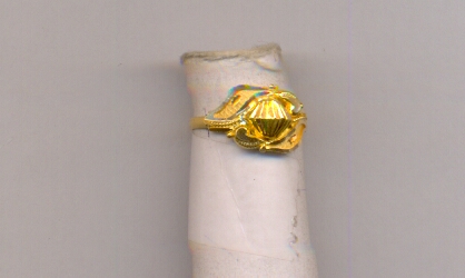 GOLD RING BABY FANCY