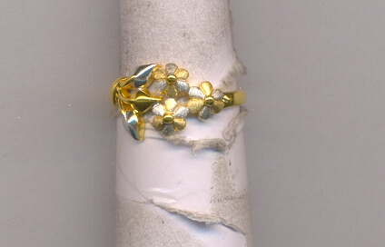 GOLD RING LADIES CASTING EXCLUSIVE