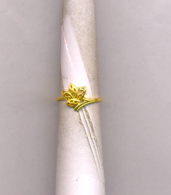 GOLD RING LADIES CASTING EXCLUSIVE