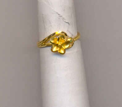 GOLD RING LADIES CASTING EXCLUSIVE