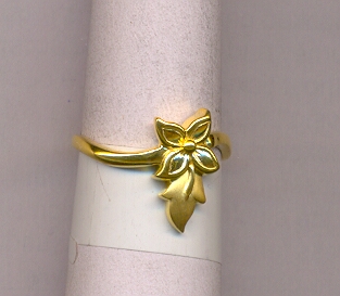 GOLD RING LADIES CASTING EXCLUSIVE