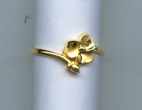 GOLD RING LADIES CASTING EXCLUSIVE