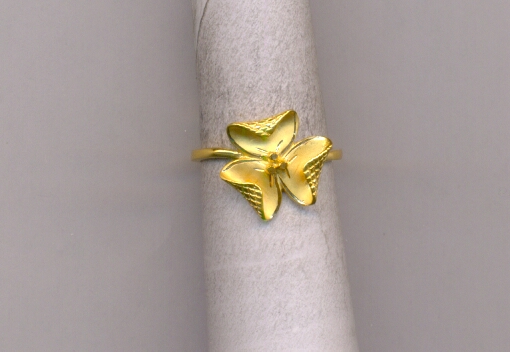 GOLD RING LADIES CASTING EXCLUSIVE