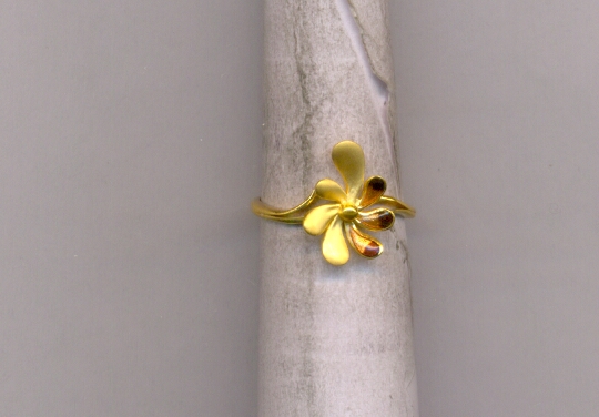GOLD RING LADIES CASTING EXCLUSIVE