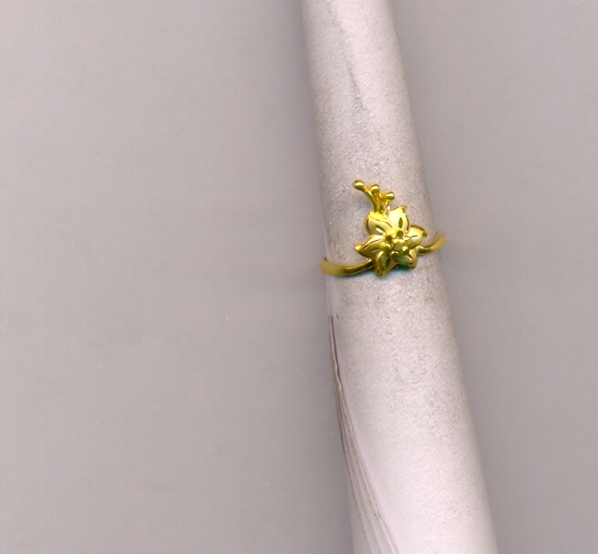 GOLD RING LADIES CASTING EXCLUSIVE
