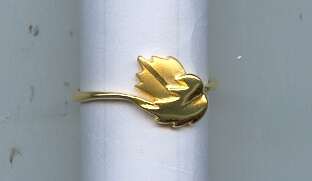 GOLD RING LADIES CASTING EXCLUSIVE