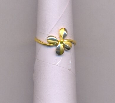GOLD RING LADIES CASTING EXCLUSIVE