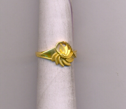 GOLD RING LADIES CASTING EXCLUSIVE
