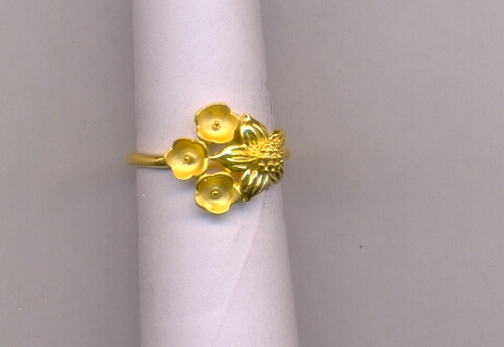 GOLD RING LADIES CASTING EXCLUSIVE