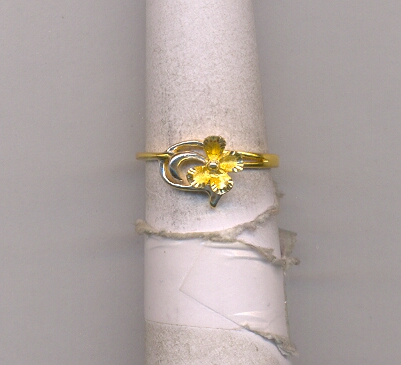 GOLD RING LADIES CASTING EXCLUSIVE