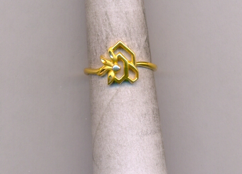 GOLD RING LADIES CASTING EXCLUSIVE