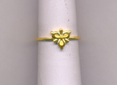 GOLD RING LADIES CASTING EXCLUSIVE