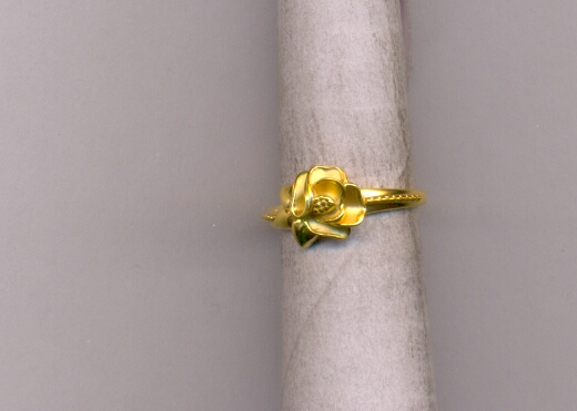 GOLD RING LADIES CASTING EXCLUSIVE
