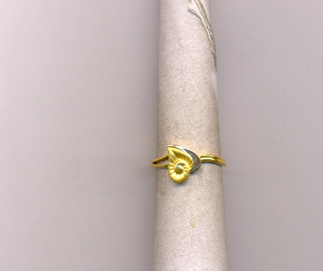 GOLD RING LADIES CASTING EXCLUSIVE