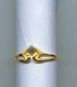 GOLD RING LADIES CASTING EXCLUSIVE