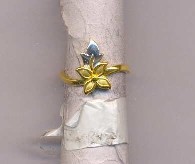GOLD RING LADIES CASTING FANCY