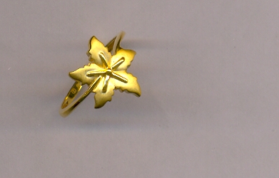 GOLD RING LADIES CASTING GENERAL