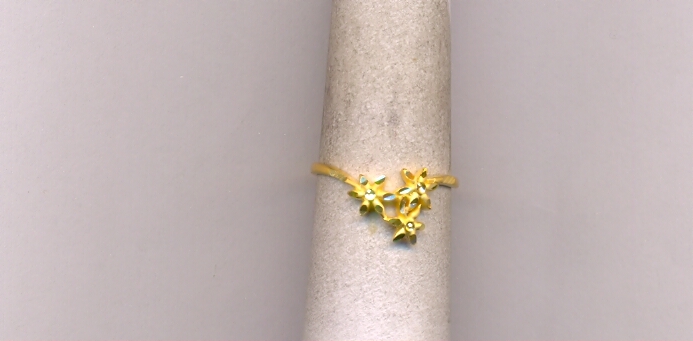 GOLD RING LADIES PLAIN EXCLUSIVE