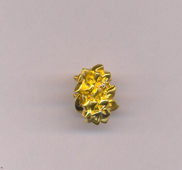 GOLD TOP CASTING EXCLUSIVE