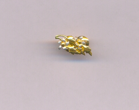 GOLD TOP CASTING EXCLUSIVE