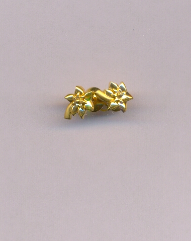 GOLD TOP CASTING EXCLUSIVE
