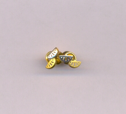 GOLD TOP CASTING EXCLUSIVE