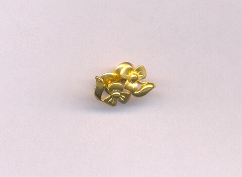GOLD TOP CASTING EXCLUSIVE