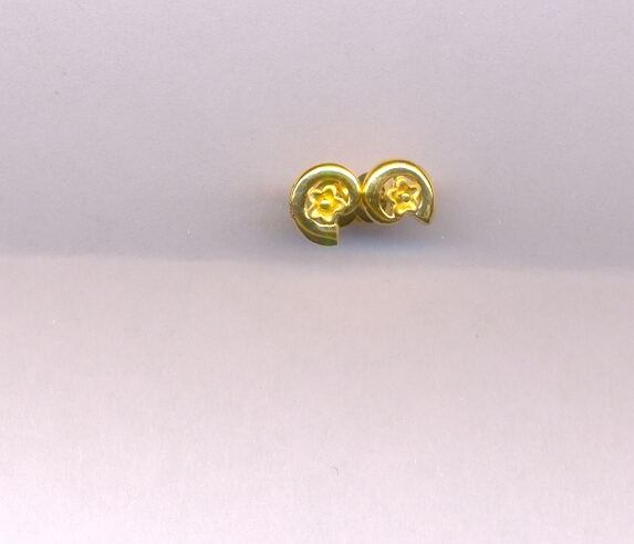 GOLD TOP CASTING FANCY