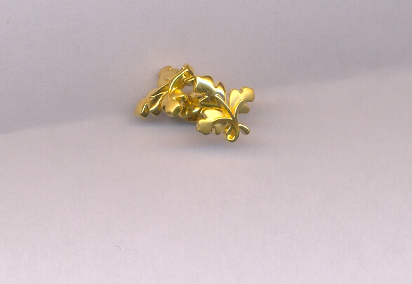 GOLD TOP CASTING FANCY