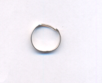 PLATINUM EARRING