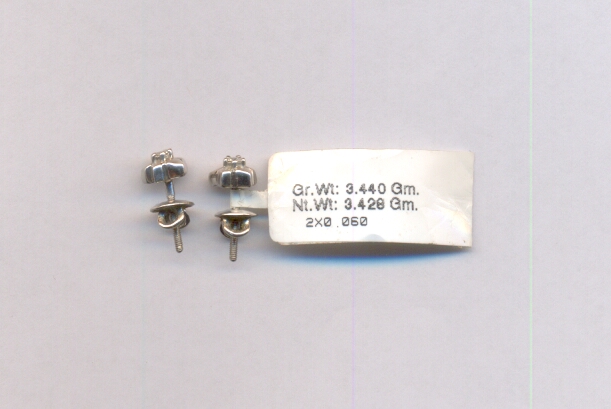 PLATINUM EARTOP