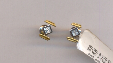 PLATINUM EARTOP