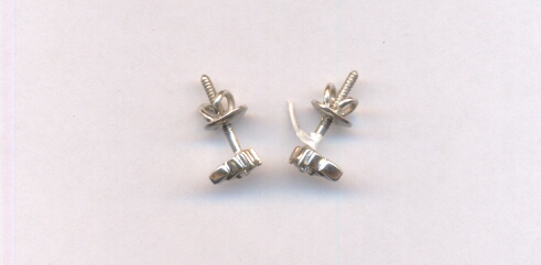 PLATINUM EARTOP