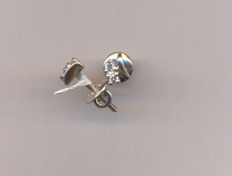 PLATINUM EARTOP