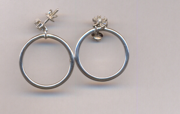 PLATINUM EARTOP