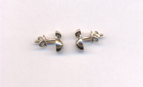 PLATINUM EARTOP