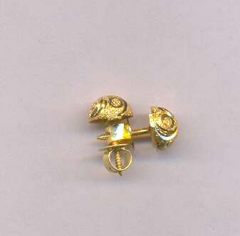 GOLD TOP