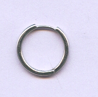 PLATINUM EARRING