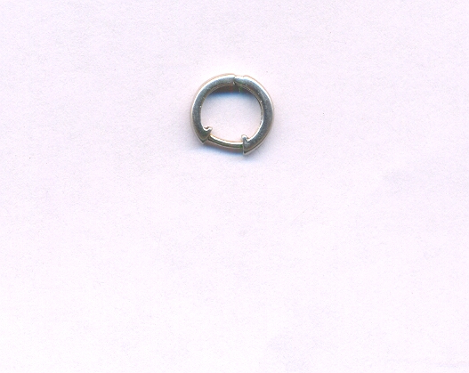 PLATINUM EARRING