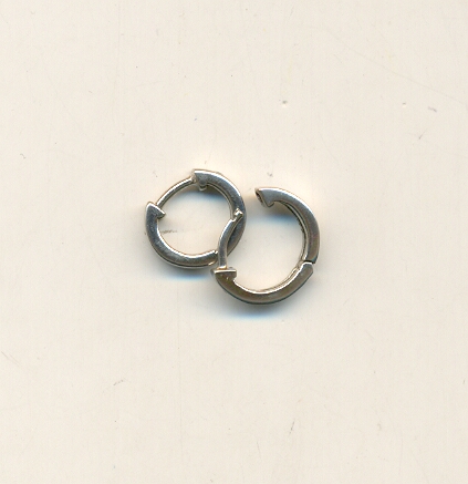 PLATINUM EARRING