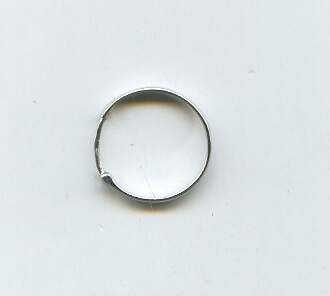 PLATINUM EARRING