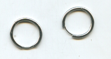 PLATINUM EARRING