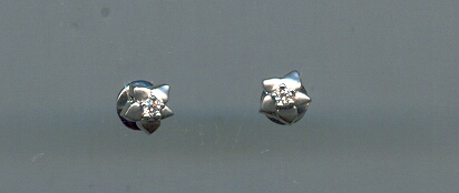 PLATINUM EARRING