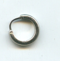 PLATINUM EARRING