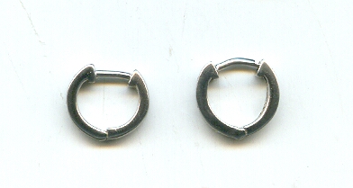 PLATINUM EARRING