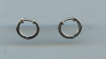 PLATINUM EARRING