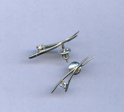 PLATINUM EARTOP