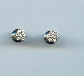 PLATINUM EARTOP